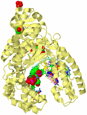 Image Biological Unit 2