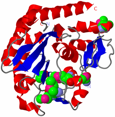 Image Asym./Biol. Unit