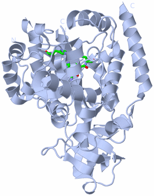 Image Biol. Unit 1 - sites