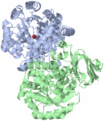 Image Biological Unit 3