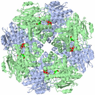 Image Biological Unit 2