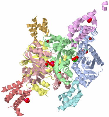 Image Asym./Biol. Unit