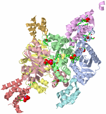 Image Asym./Biol. Unit - sites