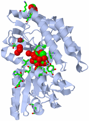 Image Biol. Unit 1 - sites