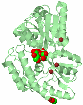 Image Biological Unit 2