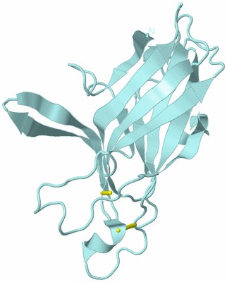 Image Biological Unit 6