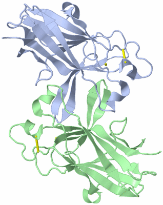 Image Biological Unit 7