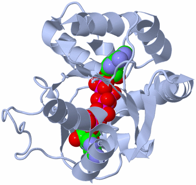 Image Biological Unit 1