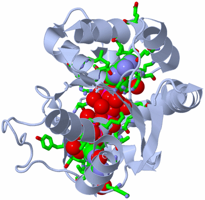 Image Biol. Unit 1 - sites