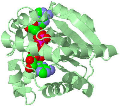 Image Biological Unit 2