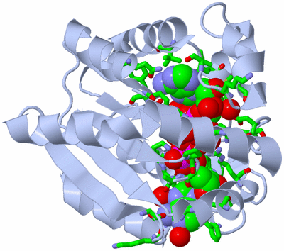 Image Biol. Unit 1 - sites