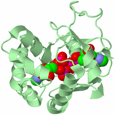 Image Biological Unit 2