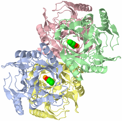 Image Asym./Biol. Unit