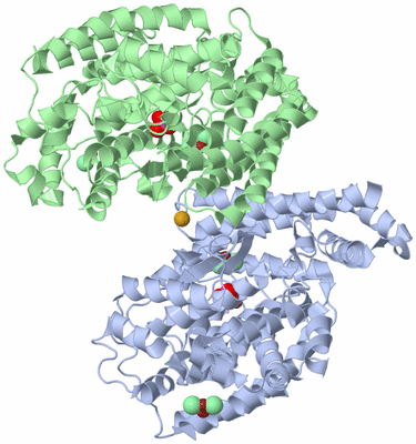 Image Biological Unit 1