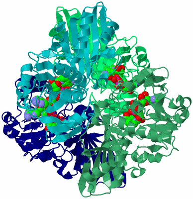 Image Asym./Biol. Unit