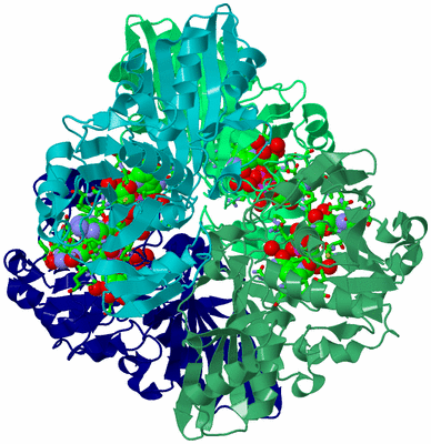 Image Asym./Biol. Unit - sites