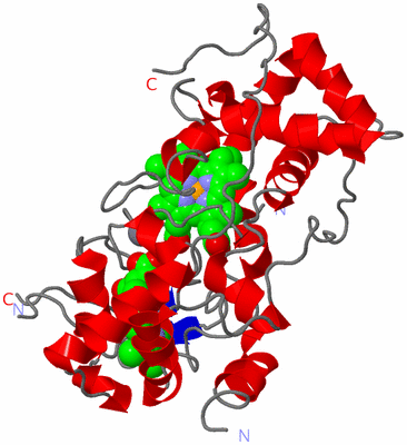 Image Asymmetric Unit