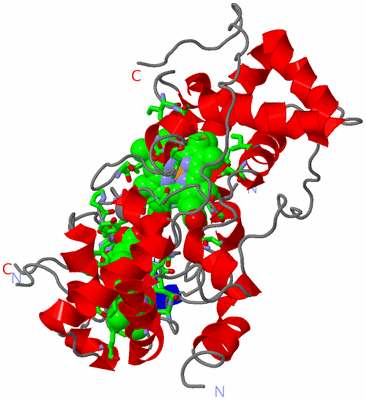 Image Asym. Unit - sites