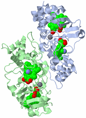Image Asym./Biol. Unit