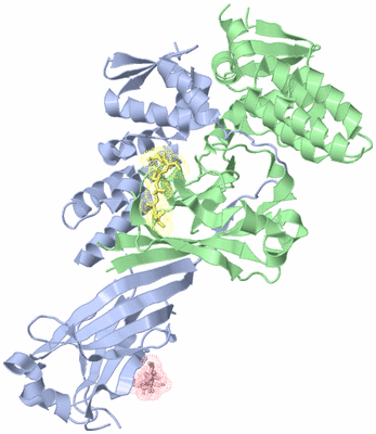 Image Asym./Biol. Unit