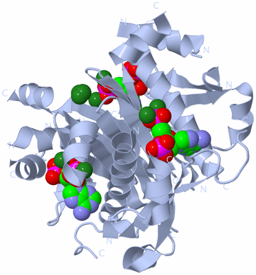 Image Biological Unit 1