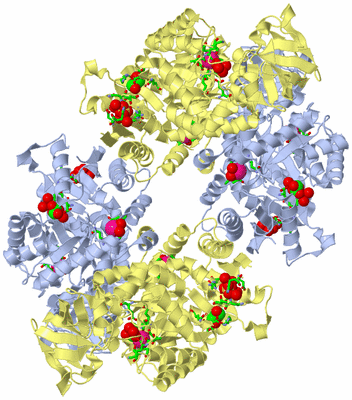 Image Biol. Unit 1 - sites