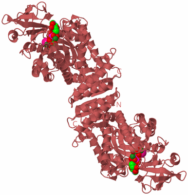 Image Biological Unit 1