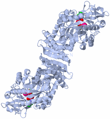 Image Biological Unit 2