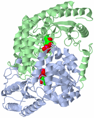 Image Asym./Biol. Unit