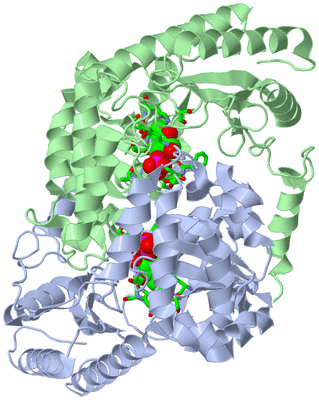 Image Asym./Biol. Unit - sites