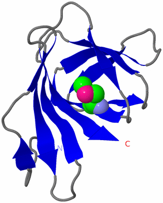 Image Asymmetric Unit