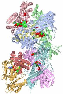 Image Asym./Biol. Unit