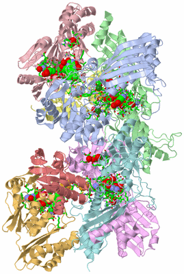 Image Asym./Biol. Unit - sites