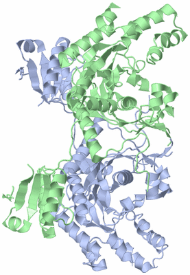 Image Biological Unit 1