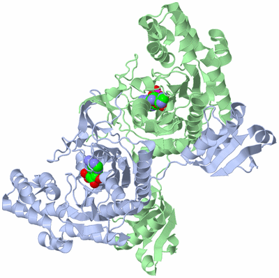 Image Asym./Biol. Unit