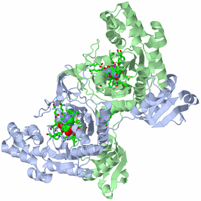 Image Asym./Biol. Unit - sites