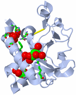 Image Biol. Unit 1 - sites