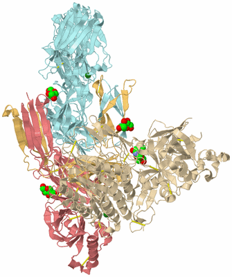 Image Biological Unit 1