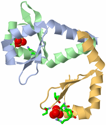 Image Biol. Unit 1 - sites