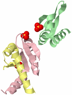 Image Biological Unit 2