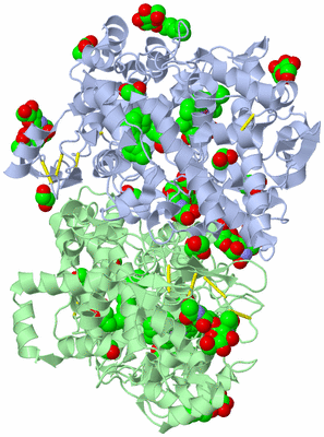 Image Asym./Biol. Unit