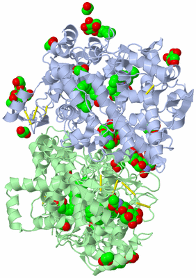 Image Asym./Biol. Unit