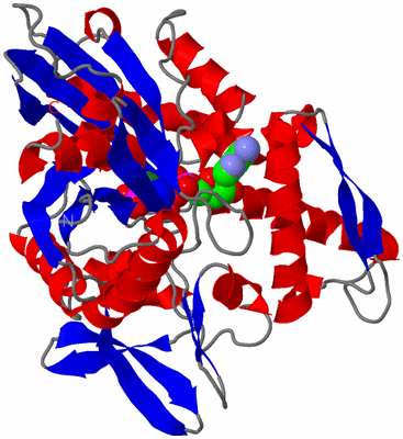 Image Asym./Biol. Unit