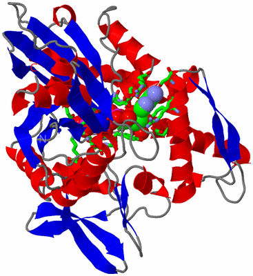 Image Asym./Biol. Unit - sites