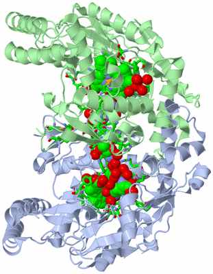 Image Asym./Biol. Unit - sites