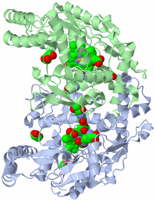 Image Asym./Biol. Unit