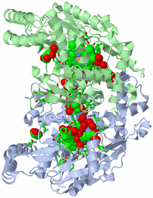 Image Asym./Biol. Unit - sites