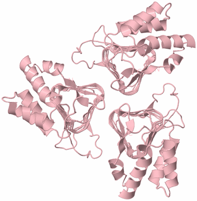 Image Biological Unit 3