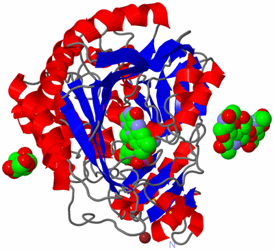 Image Asym./Biol. Unit