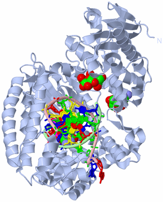 Image Biological Unit 1